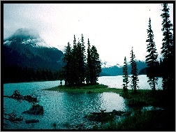 Alberta, Góry, Wysepka, Jezioro, Drzewa